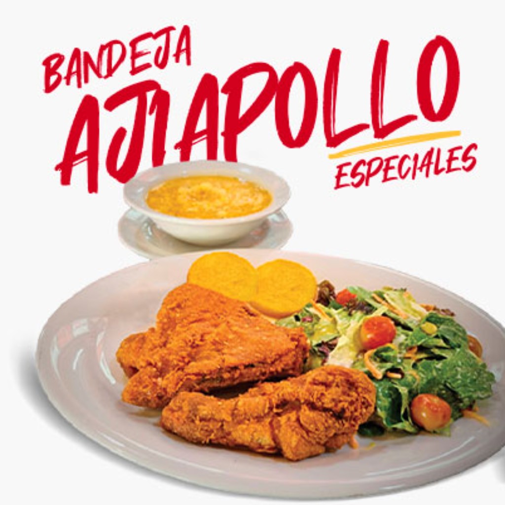 Bandeja AjiaPollo  - Jarris